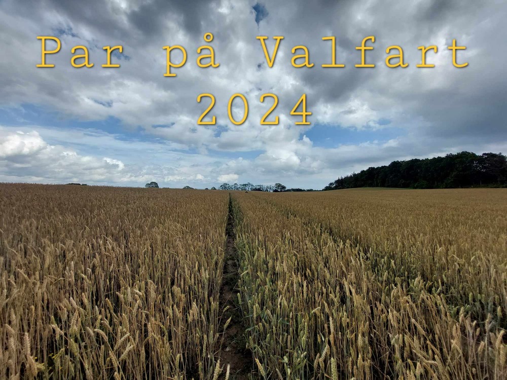 Read more about the article Par på Valfart 2024